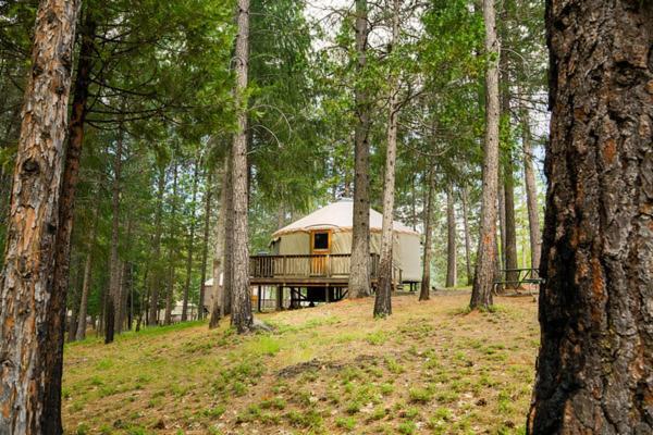 Yosemite Lakes Hillside Yurt 14 Vakantiepark Harden Flat
