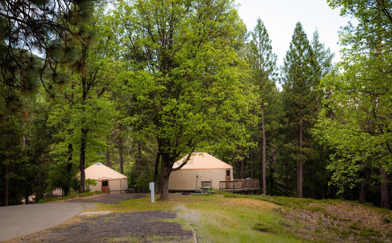 Yosemite Lakes Hillside Yurt 14 * Harden Flat